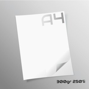 Paper-Tailor Gramajlı A4 Fotokopi Kağıdı 300 gr. 250'li