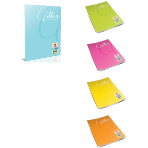 Gıpta Defter (Dikişli ) Mica Plastik Kapak Çizgili 60 YP A4