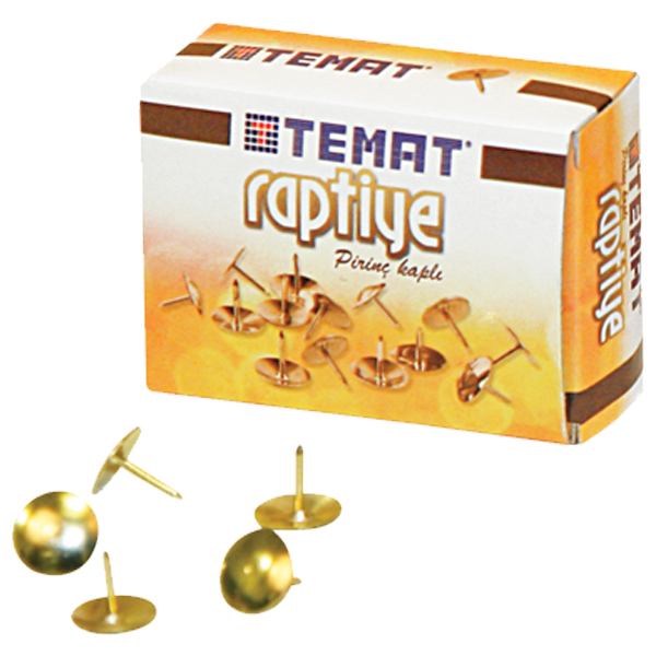 Temat Raptiye Pirinç Kaplı