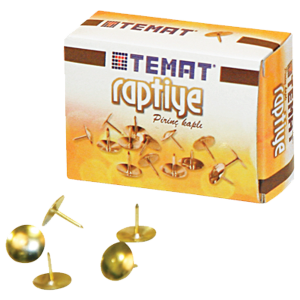 Temat Raptiye Pirinç Kaplı